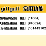 giffgaff激活教程