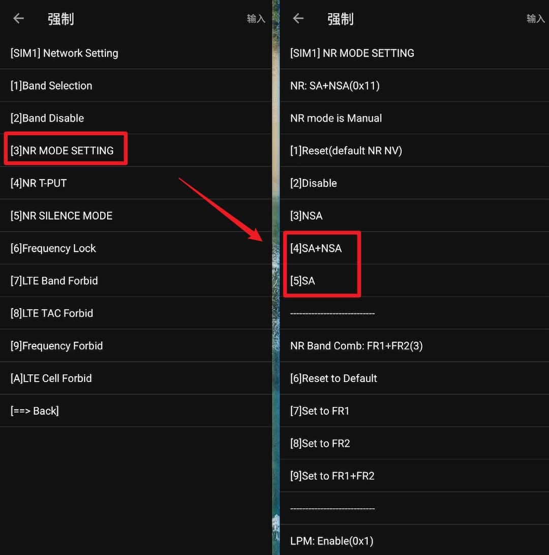 Network Signal Guru 解锁 Pixel 5G